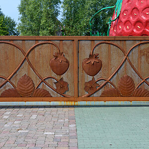 OF2_58025.jpg