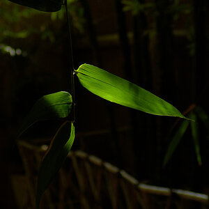 DSC04790.jpg
