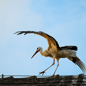 DSC_0459k.jpg