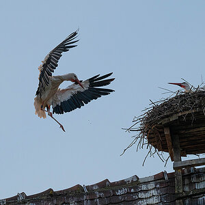 DSC_0793k.jpg