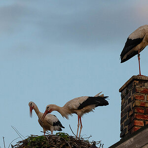DSC_0847k.jpg