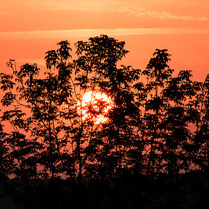 Sonnenaufgang.jpg