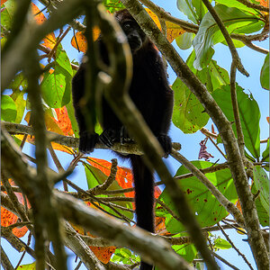 DZ7_3811-Verbessert-RR.jpg