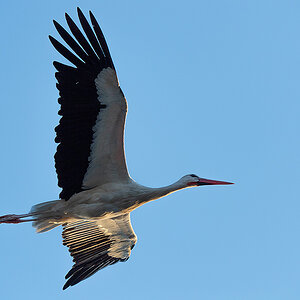 DSC_2194k.jpg