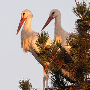 DSC_2306k.jpg