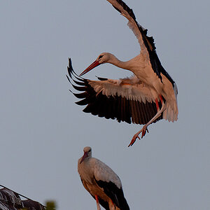 DSC_2507k.jpg