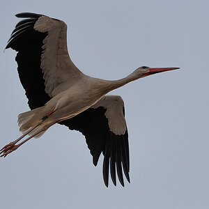 DSC_2872k.jpg