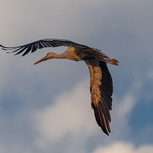 DSC_2894k.jpg