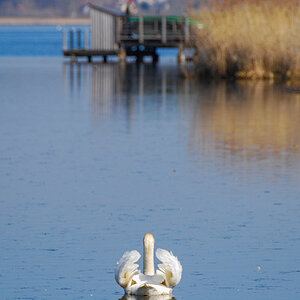 20110312-DSC_0533.jpg
