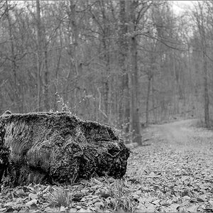 P3041957.jpg