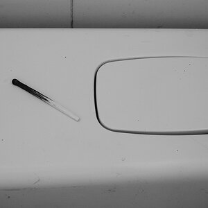 P8310042.jpg