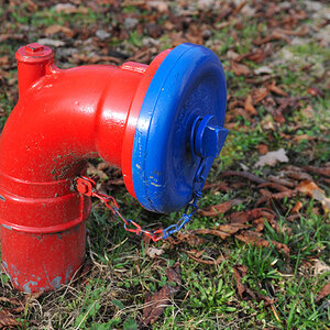 Hydrant 1.jpg