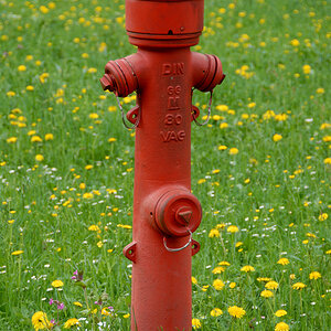 Hydrant 5.jpg