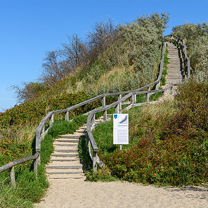 OF2_64900.jpg