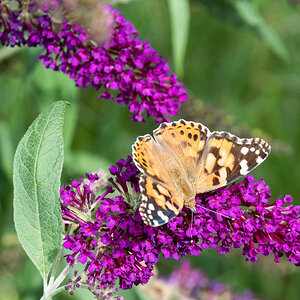 230903-001.jpg
