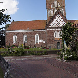_EM50373_DXOxl.jpg