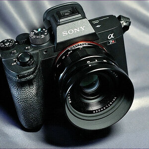 comp_2DSC00178.jpg