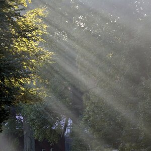 192_morgensonne.jpg