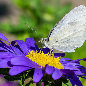 OF5_41452.jpg