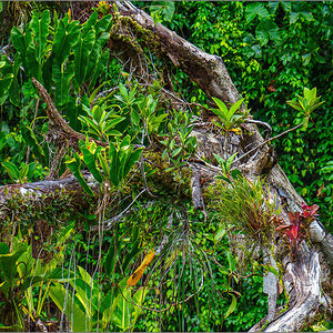 P4012072-Verbessert-RR-Bearbeitet.jpg