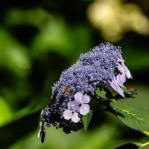 NIKON Z 8_2023_07_25_09_36_GZ8_0016.jpg