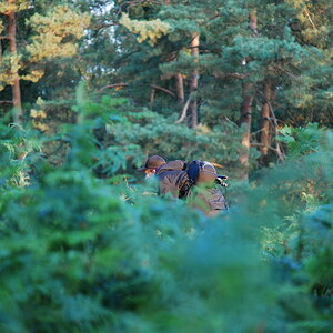 Turnschuhzoom im Einsatz
in diesem Bild ist ein Kay versteckt :)