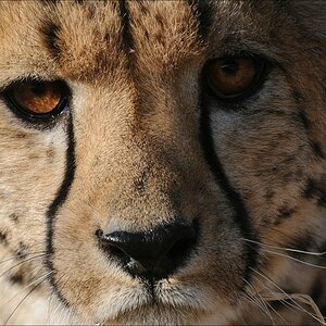 comp Namibia 09 09342