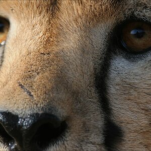comp Namibia 09 09483