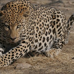 comp Namibia 09 10012