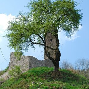 Monreal Burg 409