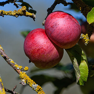 OF5_41349.jpg