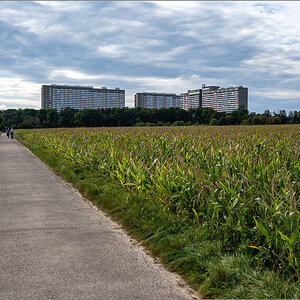 DZ7_9705.jpg
