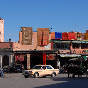 DSC_4980.jpg