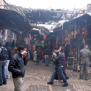 DSC_5216.jpg