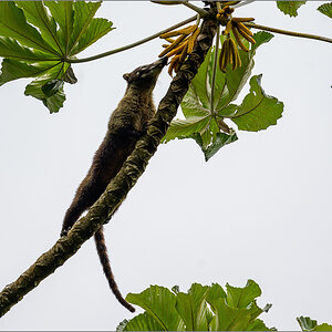 DZ7_6313-Bearbeitet.jpg