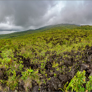 DZ7_6233-Pano.jpg