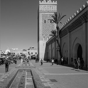 P3162059.jpg