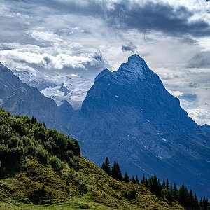 KLeine-Scheidegg-eiger_Z7A_7784_12.jpg