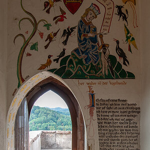 DSE_3870.jpg