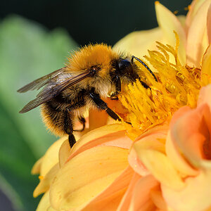 OF5_41708.jpg