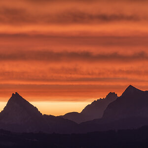 _Z623455-DeNoiseAI-clear.jpg