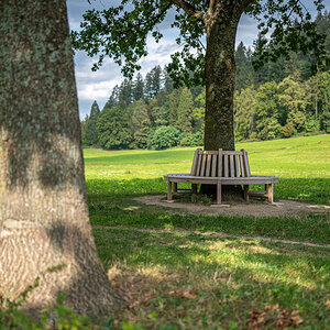 20231003-NZ6_2013.jpg