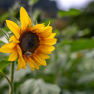 20231003-NZ6_2018.jpg