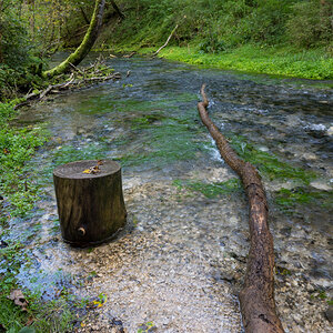 Z62_8945.jpg