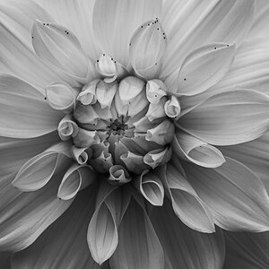 L1000422.jpg
