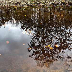 Herbst.jpg