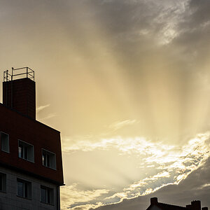 OF2_66511.jpg