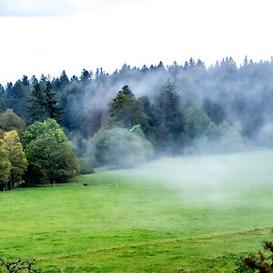 PA190010.jpg
