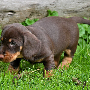 kwu06-01.JPG