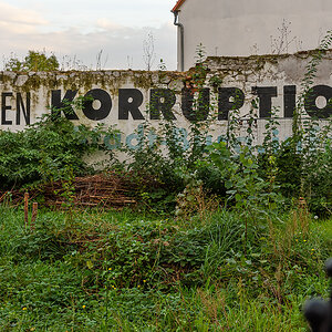 OF2_66577.jpg